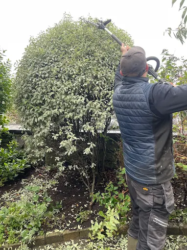 Hedge Trimming and Pruning
